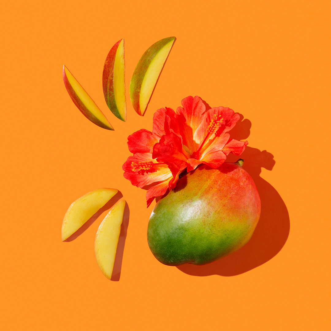 INGREDIENTS-OVERHEAD-RGB1080x1080