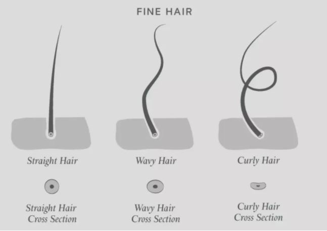 What is Fine Hair? How To Style & Care for Fine Hair | Philip Kingsley -  Hair Guide