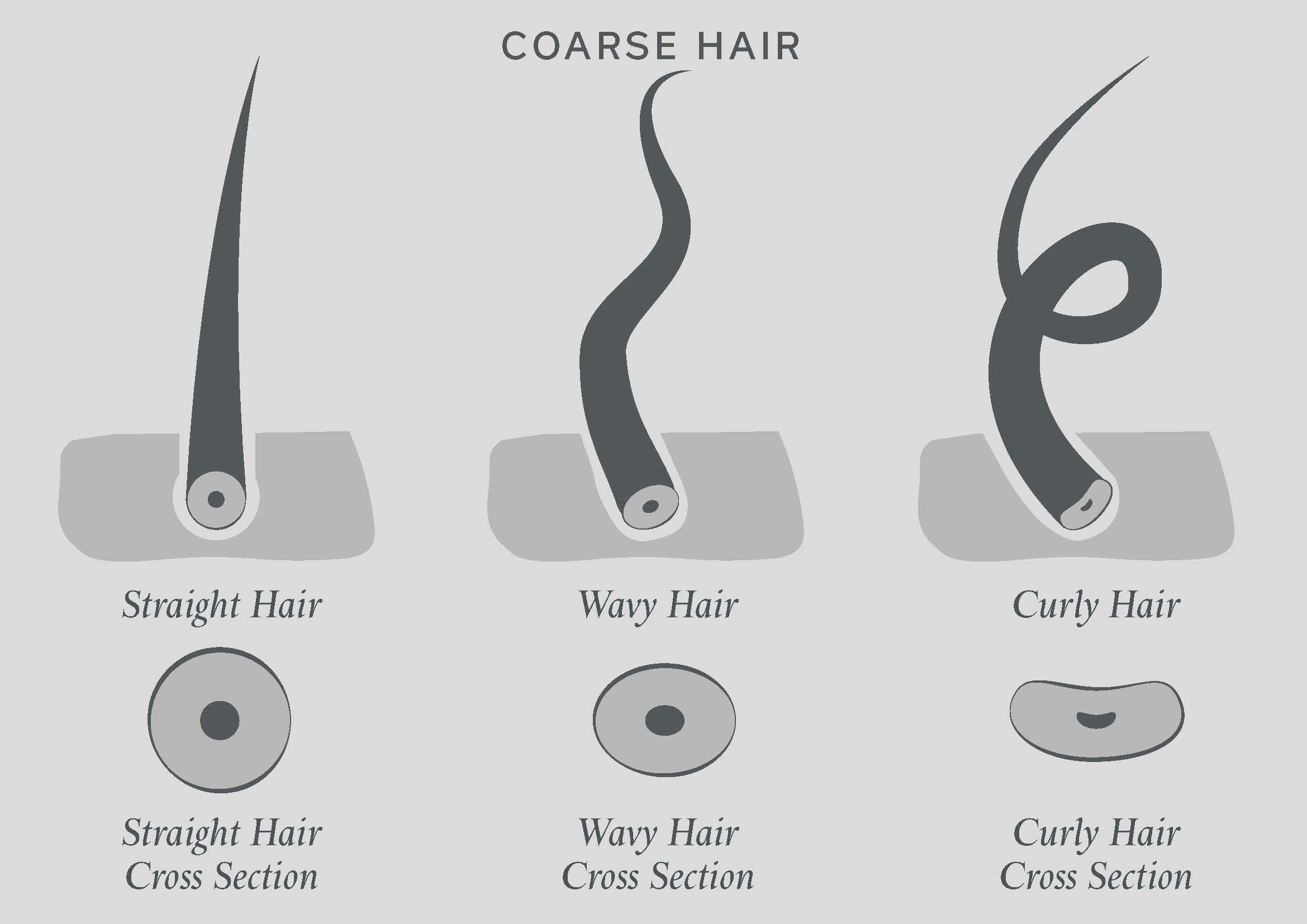 Hair Type Chart Men