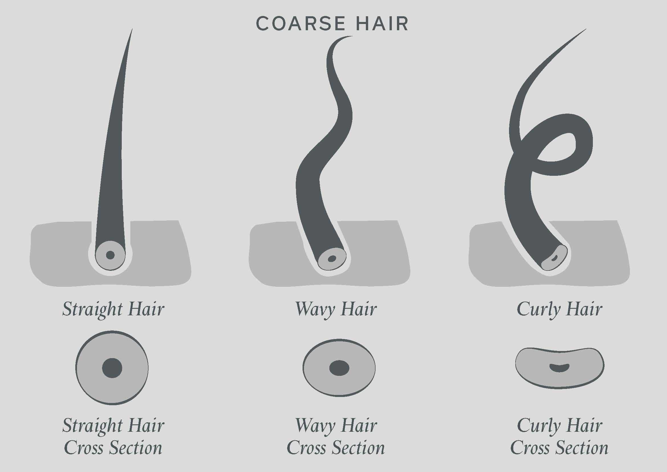 Hair Type Chart White