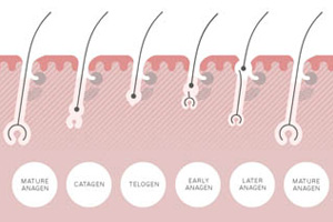 Benefits Risks Of Permanent Hair Dyes Philip Kingsley